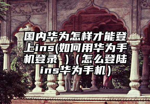 国内华为怎样才能登上ins(如何用华为手机登录 )（怎么登陆ins华为手机）