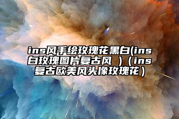 ins风手绘玫瑰花黑白(ins白玫瑰图片复古风 )（ins复古欧美风头像玫瑰花）