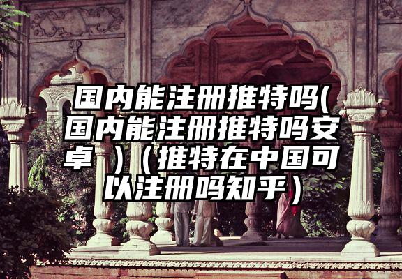 国内能注册推特吗(国内能注册推特吗安卓 )（推特在中国可以注册吗知乎）