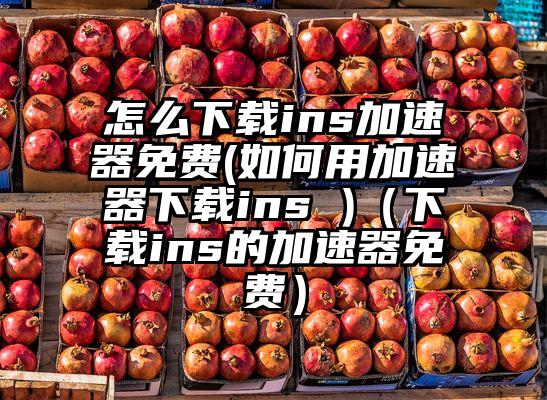 怎么下载ins加速器免费(如何用加速器下载ins )（下载ins的加速器免费）