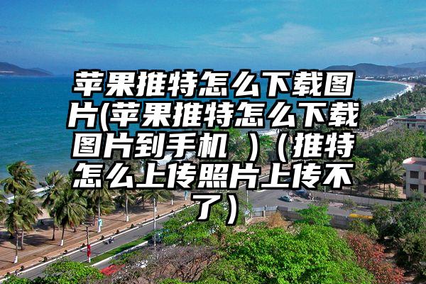 苹果推特怎么下载图片(苹果推特怎么下载图片到手机 )（推特怎么上传照片上传不了）