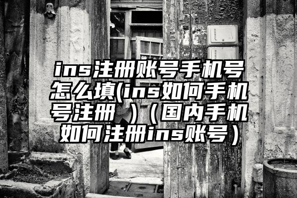 ins注册账号手机号怎么填(ins如何手机号注册 )（国内手机如何注册ins账号）