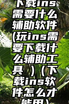 下载ins需要什么辅助软件(玩ins需要下载什么辅助工具 )（下载ins软件怎么才能用）