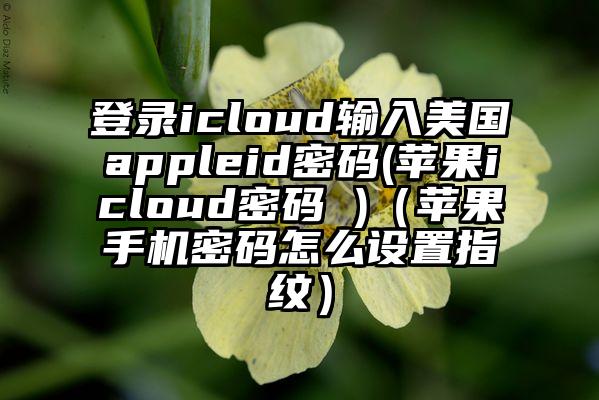 登录icloud输入美国appleid密码(苹果icloud密码 )（苹果手机密码怎么设置指纹）