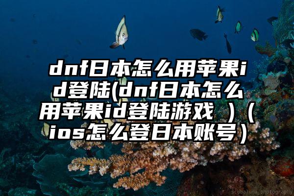 dnf日本怎么用苹果id登陆(dnf日本怎么用苹果id登陆游戏 )(ios怎么登日本账号)