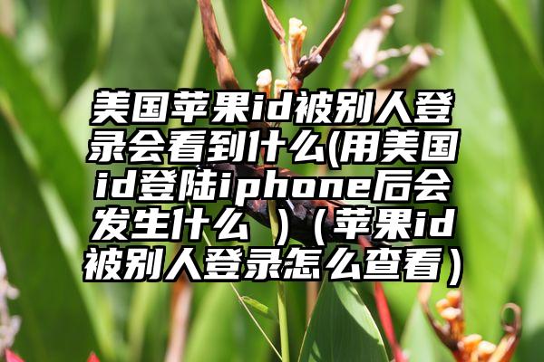 美国苹果id被别人登录会看到什么(用美国id登陆iphone后会发生什么 )（苹果id被别人登录怎么查看）