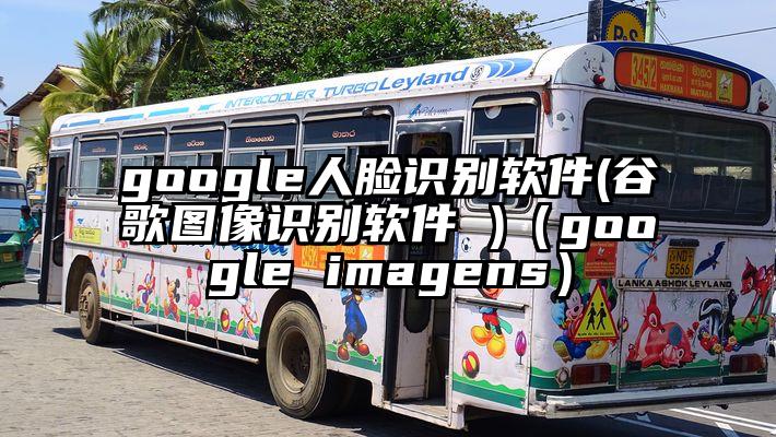 google人脸识别软件(谷歌图像识别软件 )（google imagens）