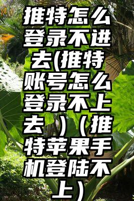 推特怎么登录不进去(推特账号怎么登录不上去 )（推特苹果手机登陆不上）