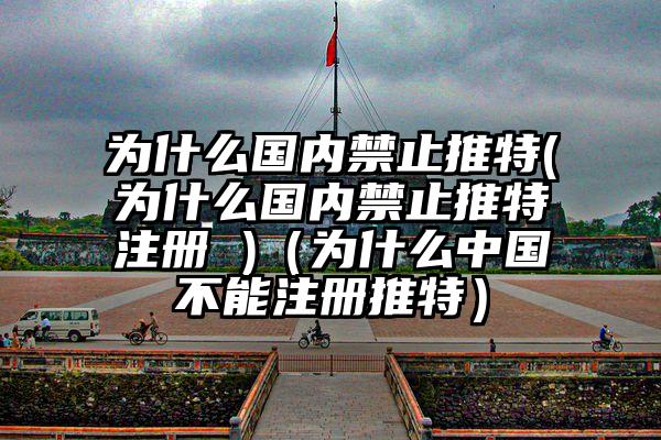 为什么国内禁止推特(为什么国内禁止推特注册 )（为什么中国不能注册推特）