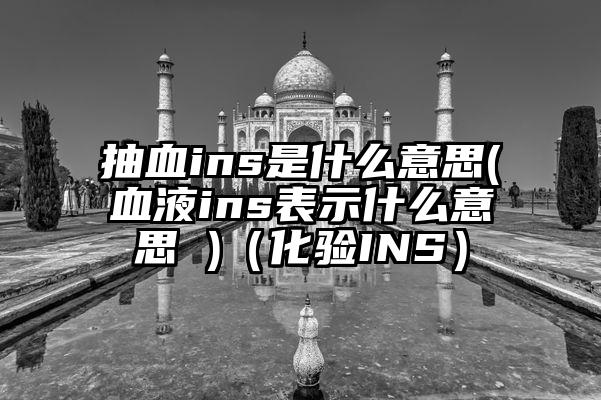 抽血ins是什么意思(血液ins表示什么意思 )（化验INS）