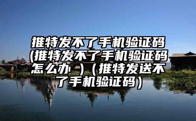 推特发不了手机验证码(推特发不了手机验证码怎么办 )（推特发送不了手机验证码）