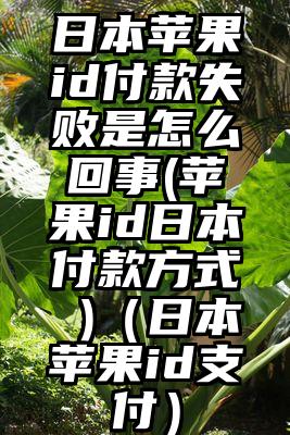 日本苹果id付款失败是怎么回事(苹果id日本付款方式 )（日本苹果id支付）