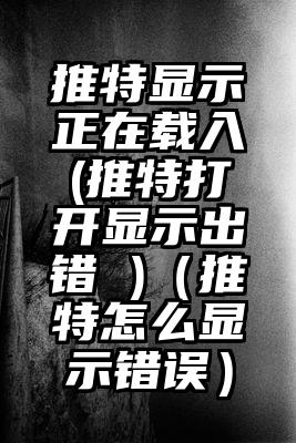 推特显示正在载入(推特打开显示出错 )（推特怎么显示错误）