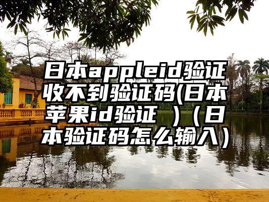 日本appleid验证收不到验证码(日本苹果id验证 )（日本验证码怎么输入）