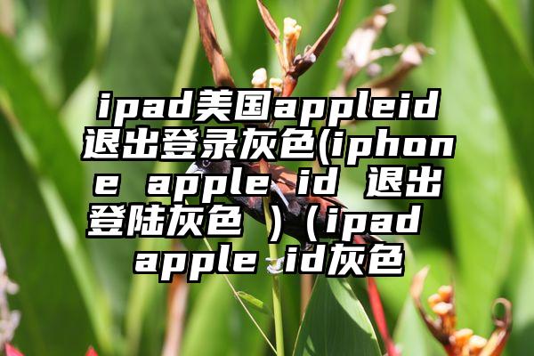 ipad美国appleid退出登录灰色(iphone apple id 退出登陆灰色 )（ipad apple id灰色