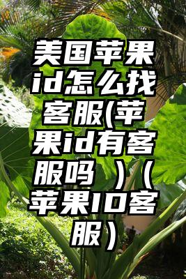 美国苹果id怎么找客服(苹果id有客服吗 )（苹果ID客服）