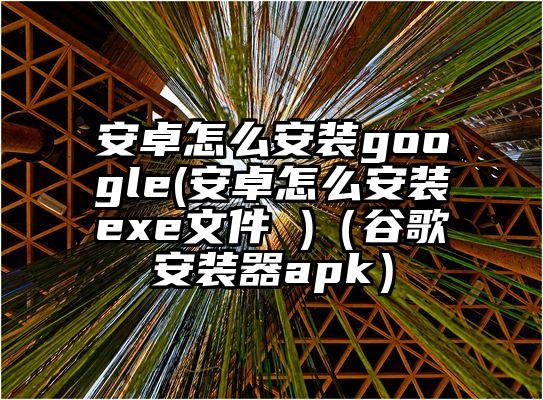 安卓怎么安装google(安卓怎么安装exe文件 )（谷歌安装器apk）