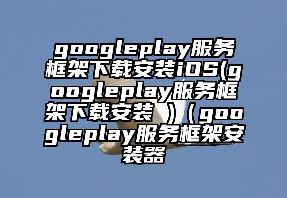 googleplay服务框架下载安装iOS(googleplay服务框架下载安装 )（googleplay服务框架安装器