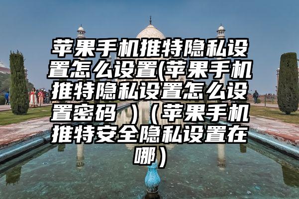 苹果手机推特隐私设置怎么设置(苹果手机推特隐私设置怎么设置密码 )（苹果手机推特安全隐私设置在哪）