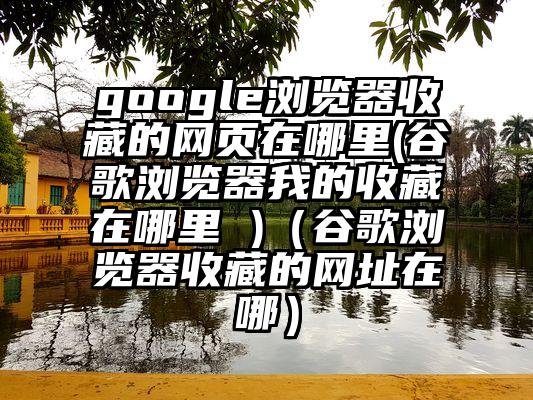 google浏览器收藏的网页在哪里(谷歌浏览器我的收藏在哪里 )（谷歌浏览器收藏的网址在哪）