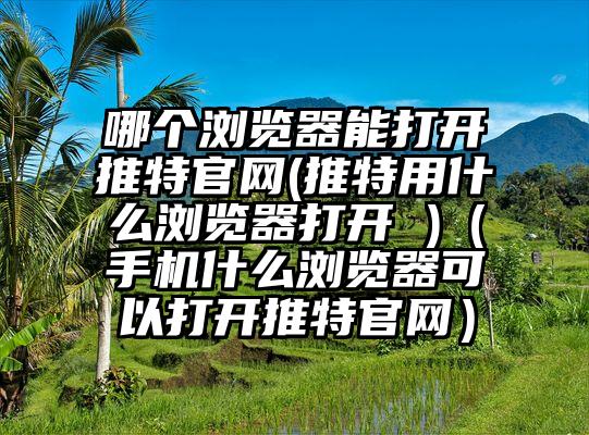 哪个浏览器能打开推特官网(推特用什么浏览器打开 )(手机什么浏览器可以打开推特官网)