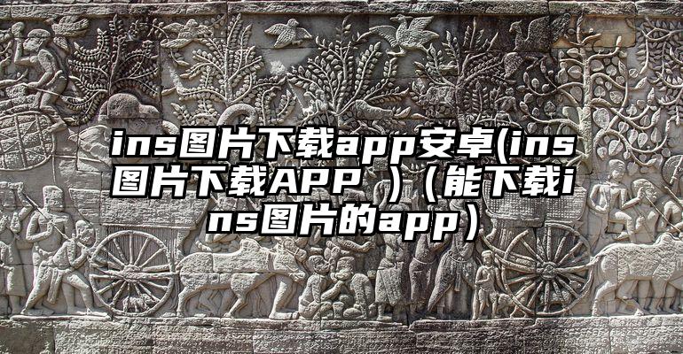 ins图片下载app安卓(ins图片下载APP )（能下载ins图片的app）