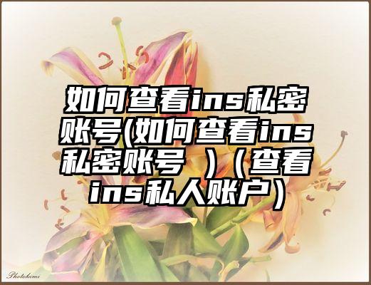 如何查看ins私密账号(如何查看ins私密账号 )（查看ins私人账户）