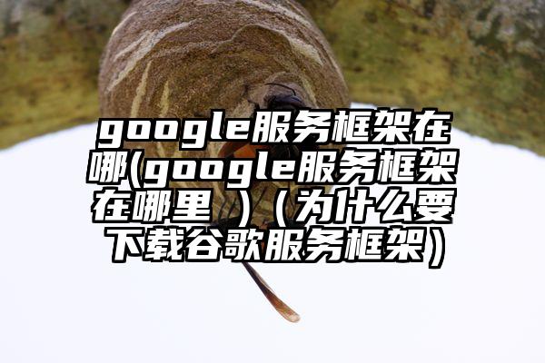 google服务框架在哪(google服务框架在哪里 )（为什么要下载谷歌服务框架）
