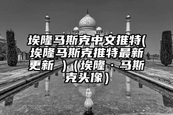 埃隆马斯克中文推特(埃隆马斯克推特最新更新 )（埃隆·马斯克头像）