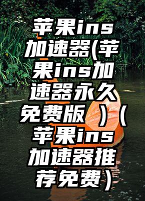 苹果ins加速器(苹果ins加速器永久免费版 )（苹果ins加速器推荐免费）