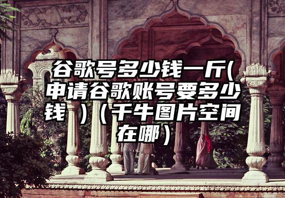 谷歌号多少钱一斤(申请谷歌账号要多少钱 )（千牛图片空间在哪）
