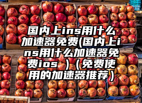 国内上ins用什么加速器免费(国内上ins用什么加速器免费ios )（免费使用的加速器推荐）