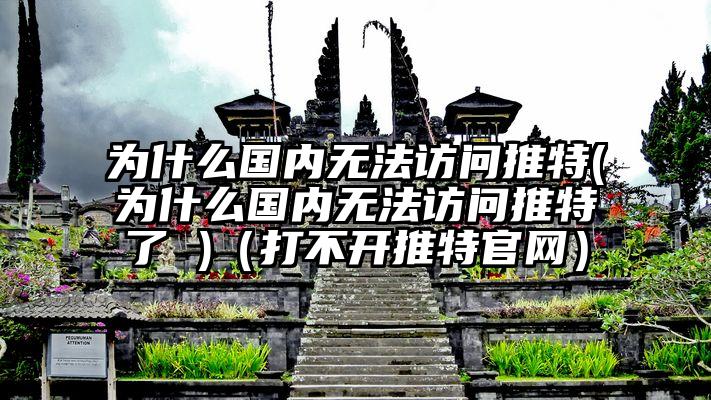 为什么国内无法访问推特(为什么国内无法访问推特了 )（打不开推特官网）