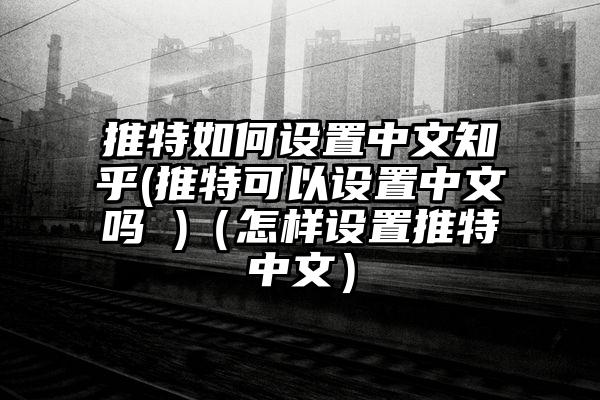 推特如何设置中文知乎(推特可以设置中文吗 )（怎样设置推特中文）