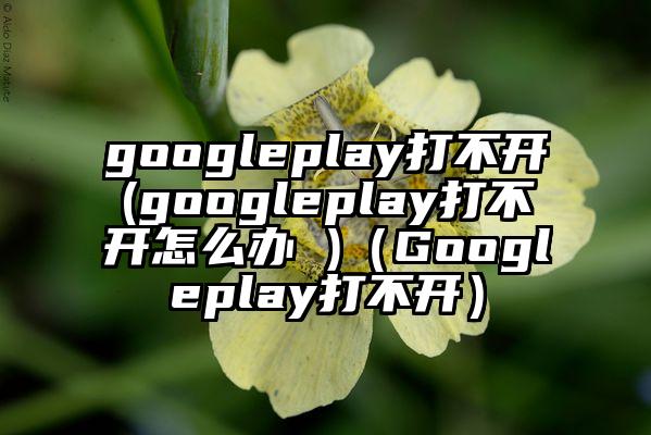 googleplay打不开(googleplay打不开怎么办 )（Googleplay打不开）
