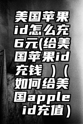 美国苹果id怎么充6元(给美国苹果id充钱 )（如何给美国apple id充值）