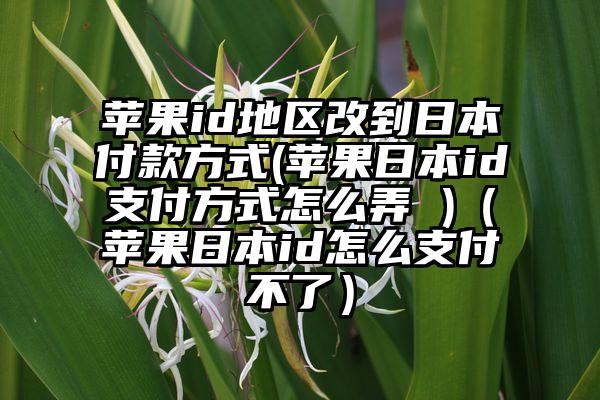 苹果id地区改到日本付款方式(苹果日本id支付方式怎么弄 )（苹果日本id怎么支付不了）