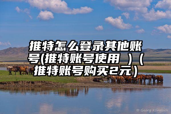 推特怎么登录其他账号(推特账号使用 )（推特账号购买2元）