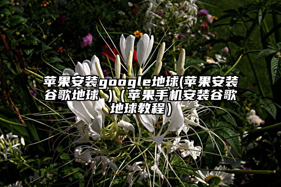 苹果安装google地球(苹果安装谷歌地球 )（苹果手机安装谷歌地球教程）