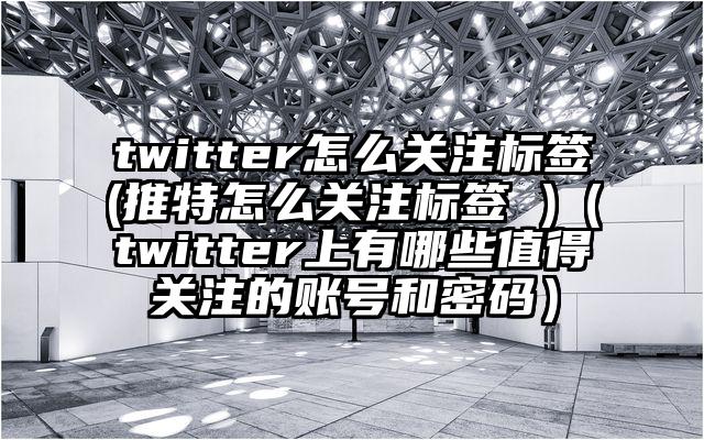 twitter怎么关注标签(推特怎么关注标签 )（twitter上有哪些值得关注的账号和密码）
