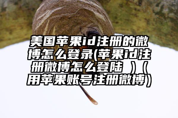 美国苹果id注册的微博怎么登录(苹果id注册微博怎么登陆 )（用苹果账号注册微博）