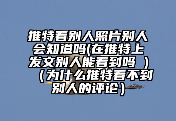 推特看别人照片别人会知道吗(在推特上发文别人能看到吗 )（为什么推特看不到别人的评论）