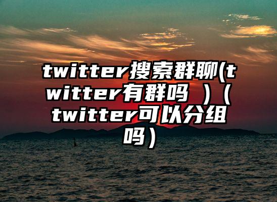 twitter搜索群聊(twitter有群吗 )（twitter可以分组吗）