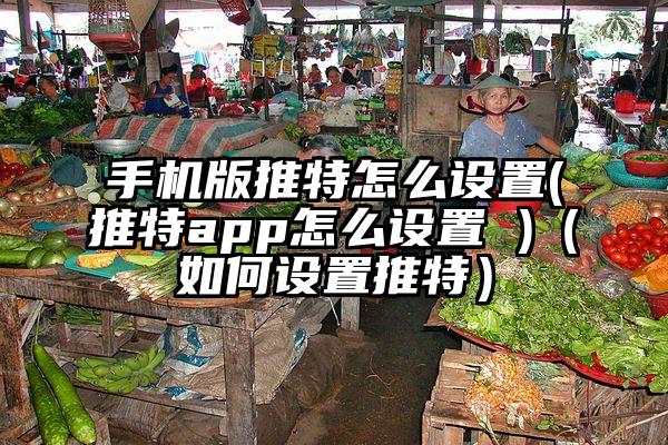 手机版推特怎么设置(推特app怎么设置 )（如何设置推特）