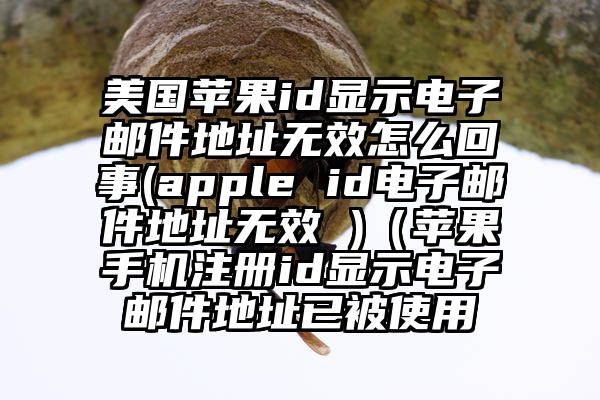 美国苹果id显示电子邮件地址无效怎么回事(apple id电子邮件地址无效 )（苹果手机注册id显示电子邮件地址已被使用