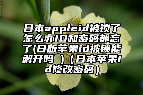 日本appleid被锁了怎么办ID和密码都忘了(日版苹果id被锁能解开吗 )（日本苹果id修改密码）