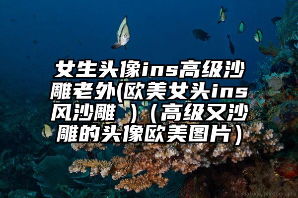 女生头像ins高级沙雕老外(欧美女头ins风沙雕 )（高级又沙雕的头像欧美图片）