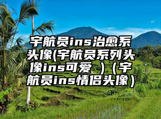 宇航员ins治愈系头像(宇航员系列头像ins可爱 )（宇航员ins情侣头像）