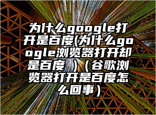 为什么google打开是百度(为什么google浏览器打开却是百度 )（谷歌浏览器打开是百度怎么回事）