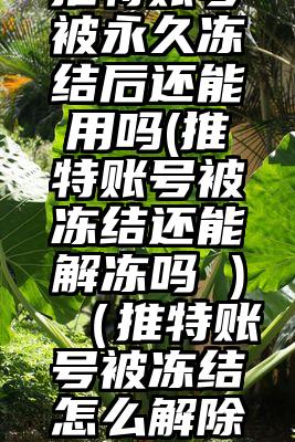 推特账号被永久冻结后还能用吗(推特账号被冻结还能解冻吗 )（推特账号被冻结怎么解除）